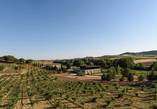 Bodegas Piedra y Lagarona 3