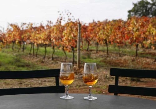 Cross-border Wine Tourism Experience Setúbal–Alentejo–Extremadura