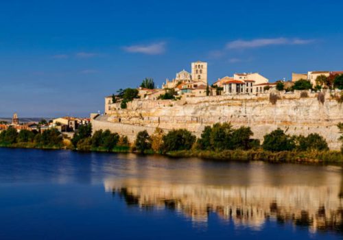 Toro incoming foto 23